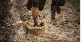 Danikerbosloop  Danikerbosloop