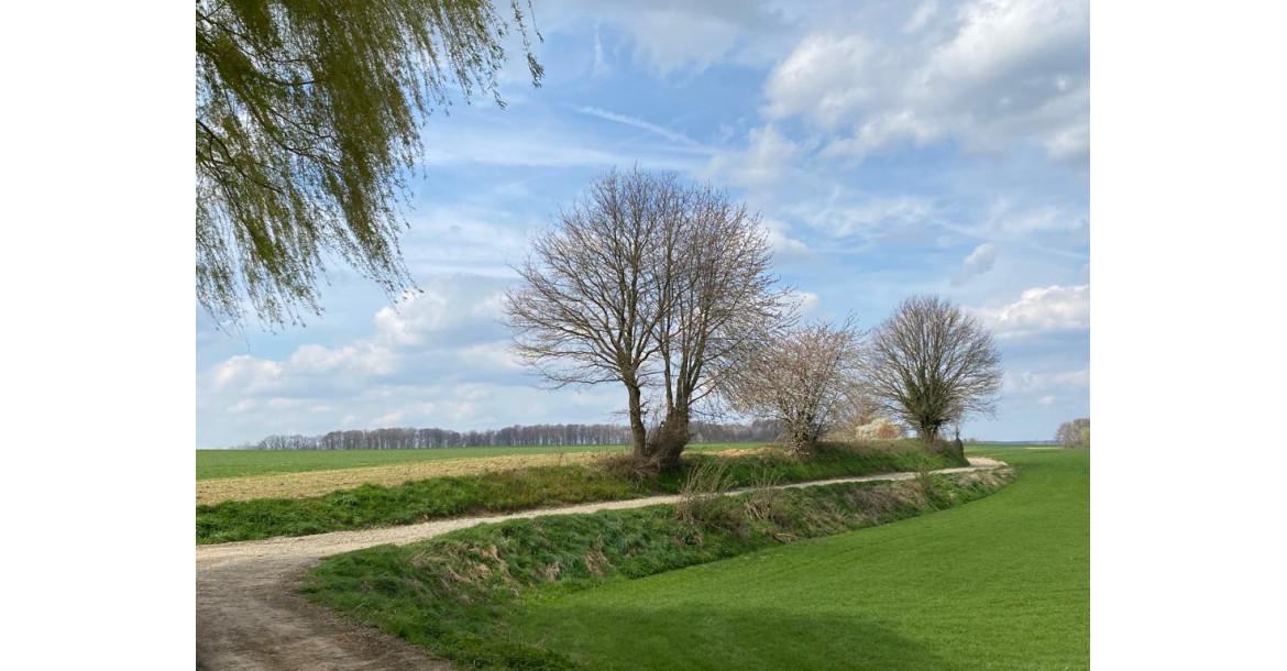 Brabantse Wouden Trail