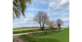 Brabantse Wouden Trail