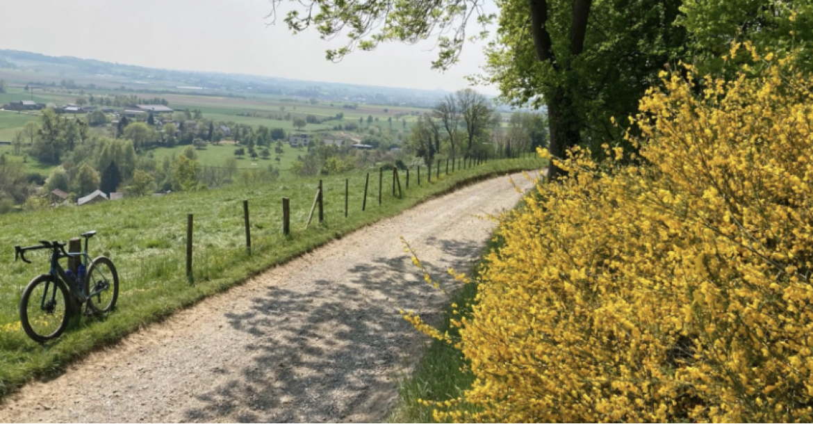 PlugPlug Zuid-Limburg