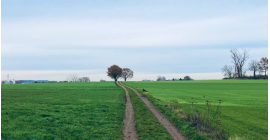 PlugPlug Hageland  PlugPlug Hageland
