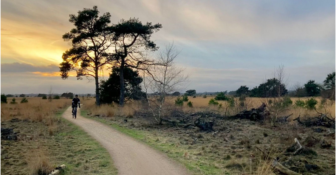 PlugPlug Groote Heide