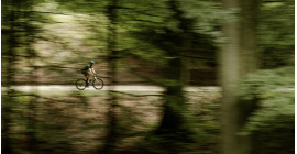 Brabantse Wouden Gravel  Brabantse Wouden Gravel