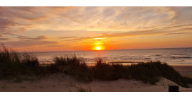 Coast Marathon Nationaal Park Hollandse Duinen  Coast Marathon Nationaal Park Hollandse Duinen