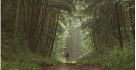 The Longest Day Trail & Walk