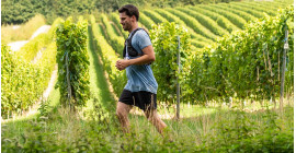 Kemmelberg Trail  Kemmelberg Trail